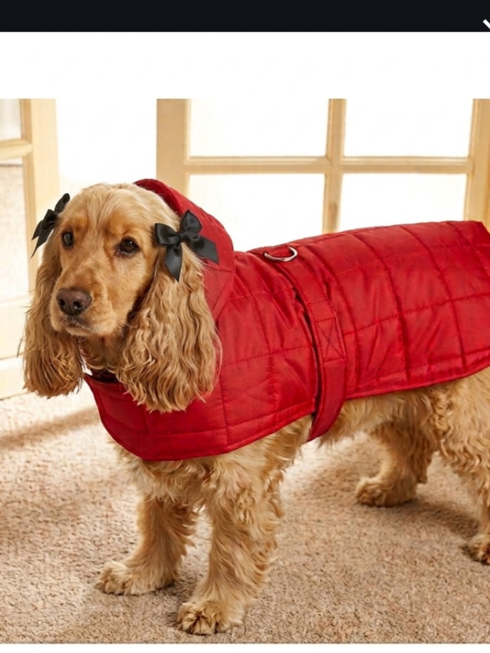 Red Quilted Dog Jacket Parka with attached hood Sz 16 - Picture 1 of 13